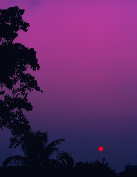 Silent Night