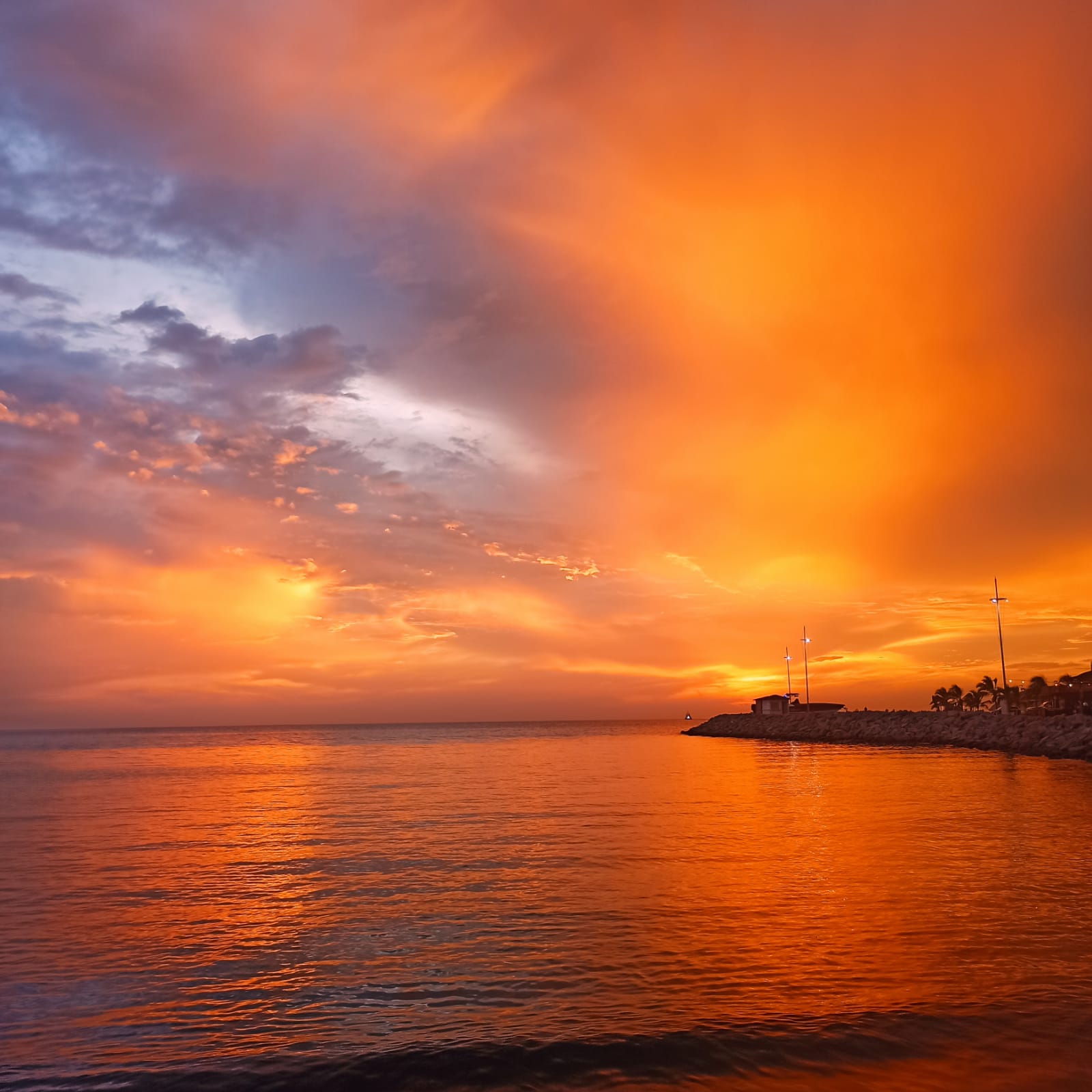 Sonnet 1 Where Consensus Abounds