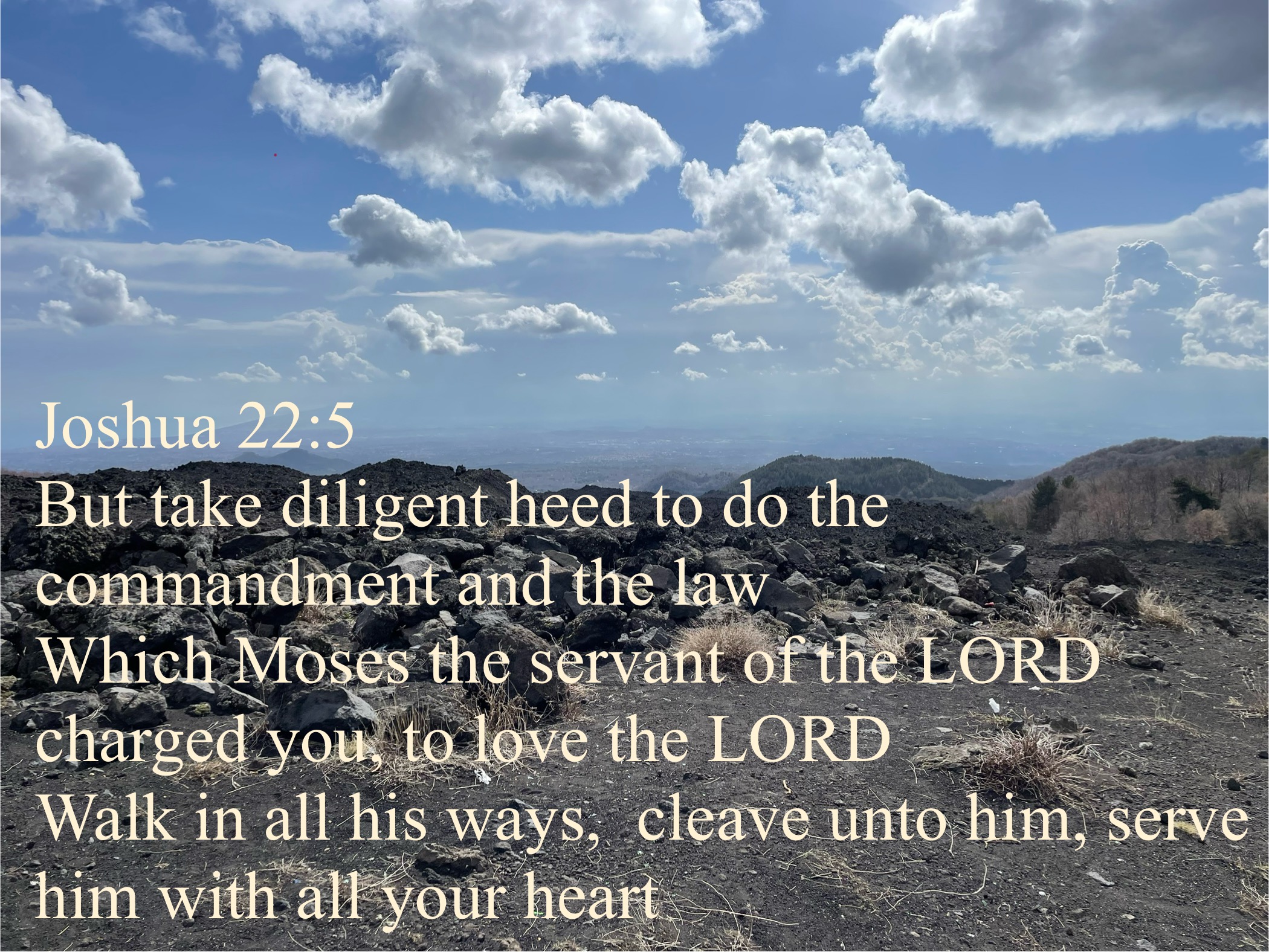 Joshua 22: 5