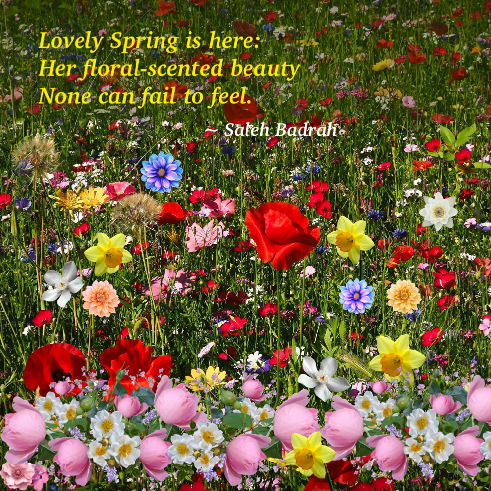 Lovely Spring