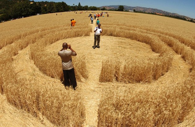 Ufos And Crop Circle Mysteries (Part 1)