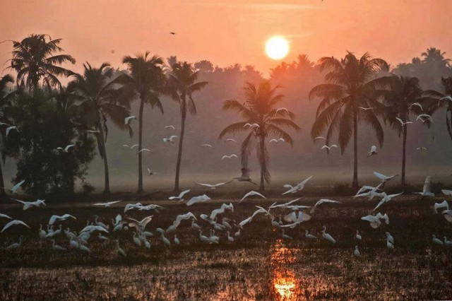 Useless To Worship Sun Becoming Blind!