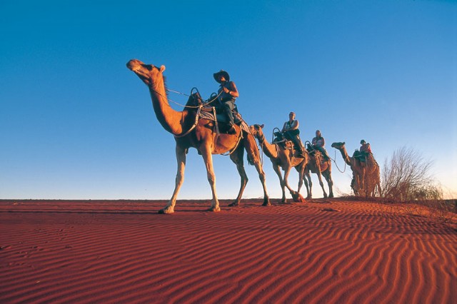 Camel Main Source