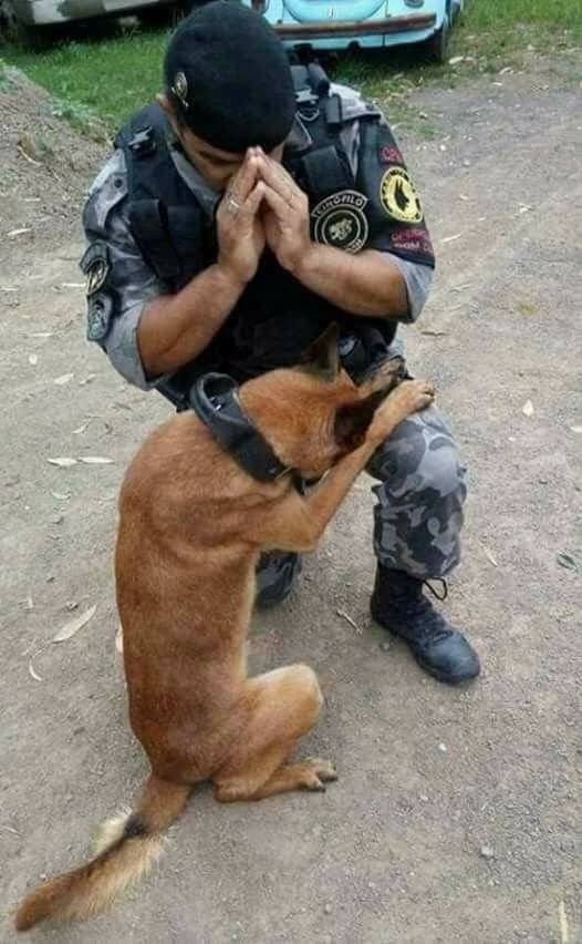 The Praying Dog