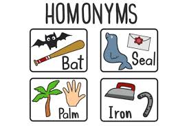 A Homonymer
