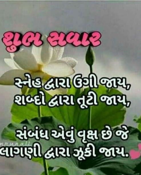 નવલી બહાર.. Navli