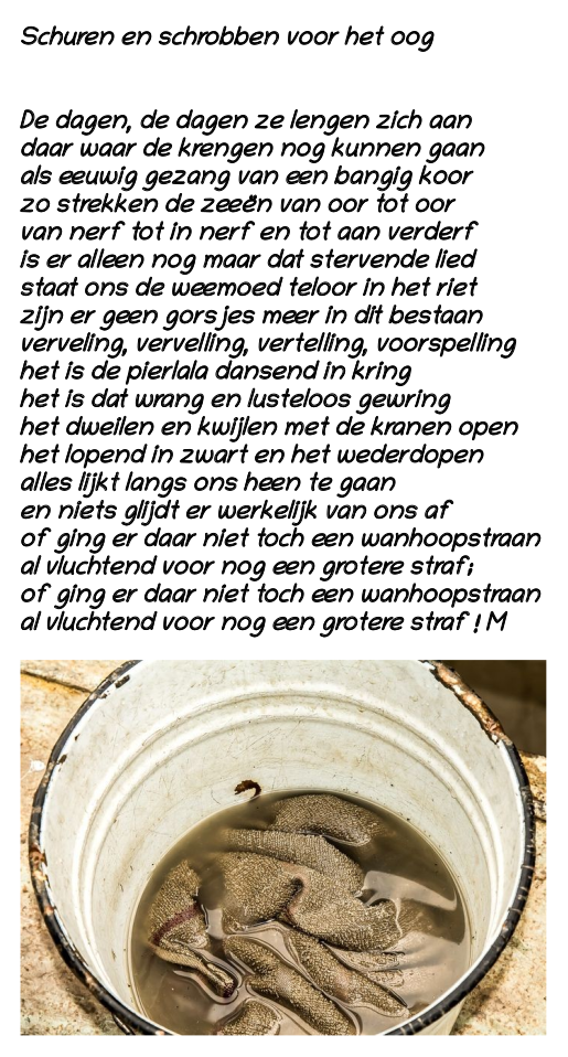 Schuren En Schrobben Voor Het Oog