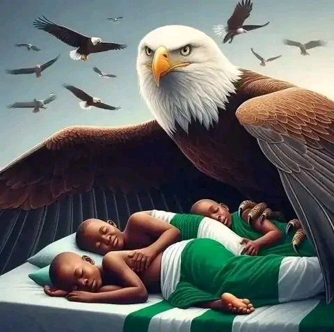 My Country