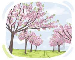 Pleasant Spring Like Day February 9th,2024