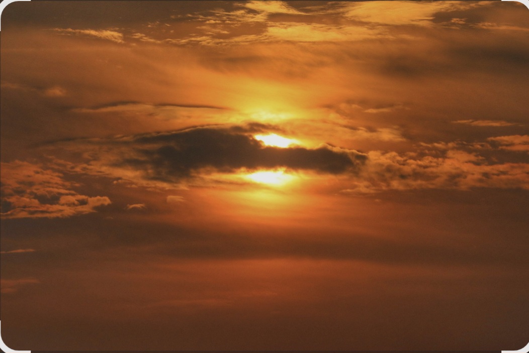 The Bright Side Of Life