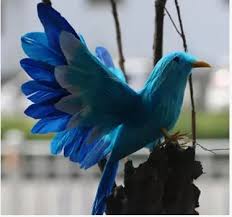 Bird Haiku