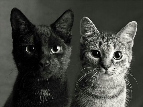 Τριτη Και 13..Third And 13.. Orthe Color Does Not Makethe Difference..