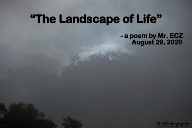 The Landscape Of Life