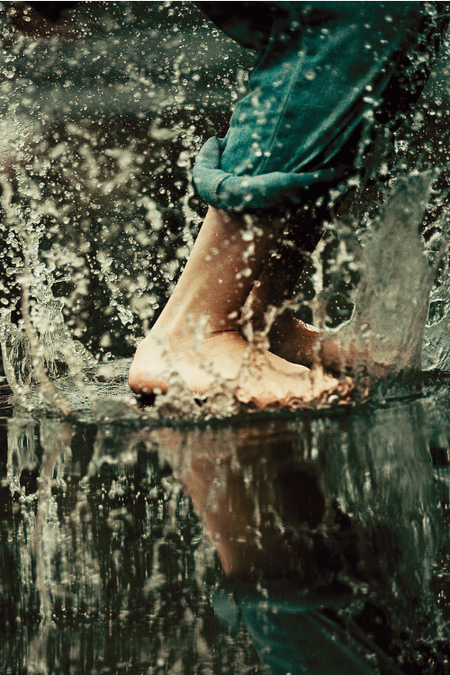 Madman's Diary To A Sane Man