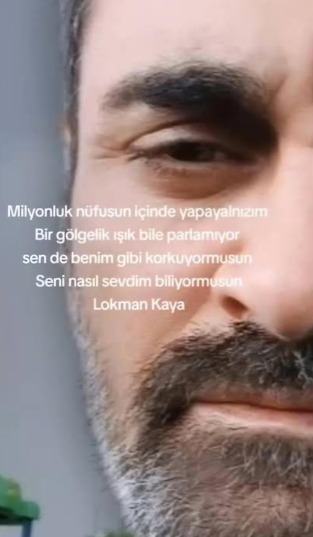 Do You Know How I Loved You