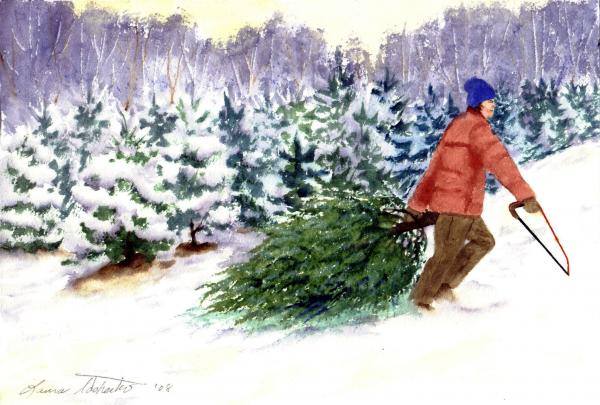 Cedar Tree Christmas