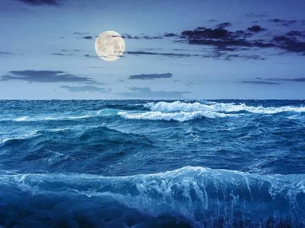 Sea To The Moon