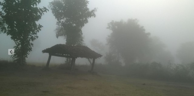 Stranger In Homeland