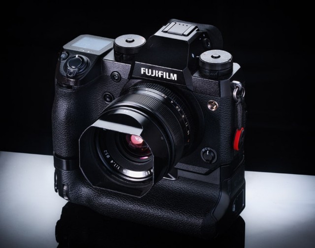 Close-Up And Zoomed-Out