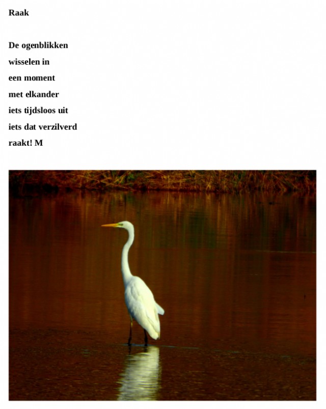 Raak