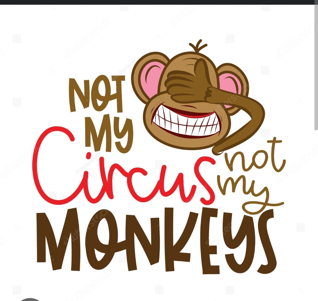 🐒Not My Circus, Not My Monkeys