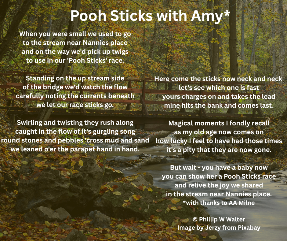 Pooh Sticks With Amy*