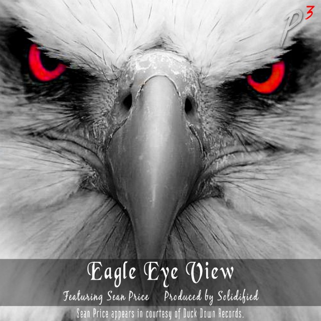 The Eagles Eyes Is Watching