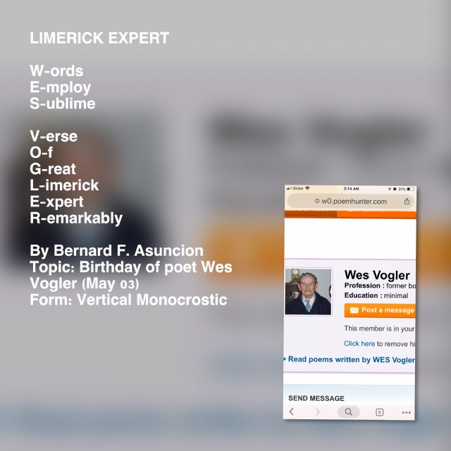 Limerick Expert