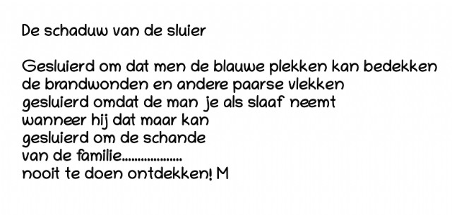 De Schaduw Van De Sluier