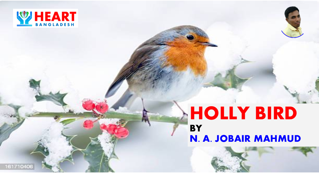 Holly Bird