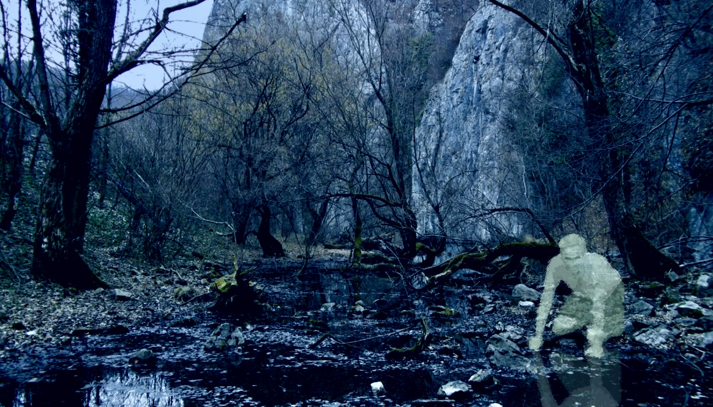 Swamp