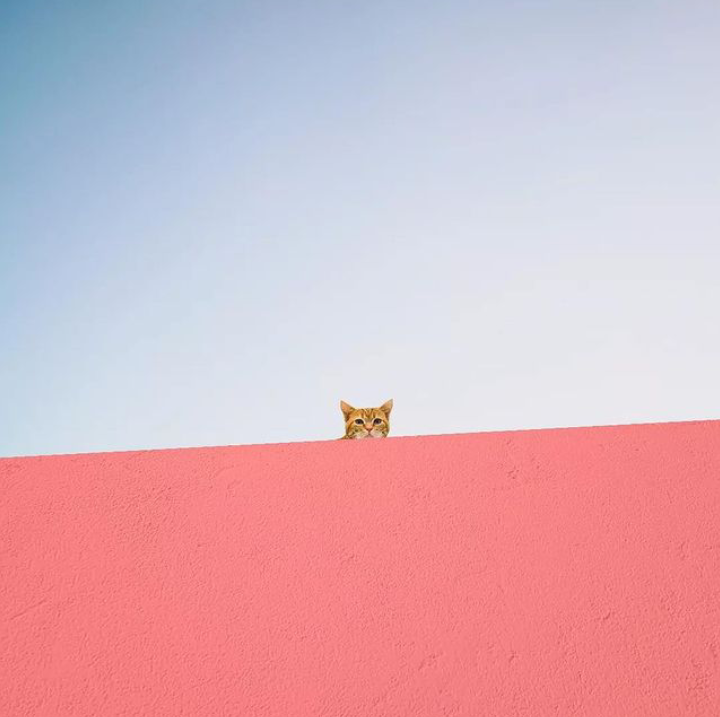 The Language Of Feelings