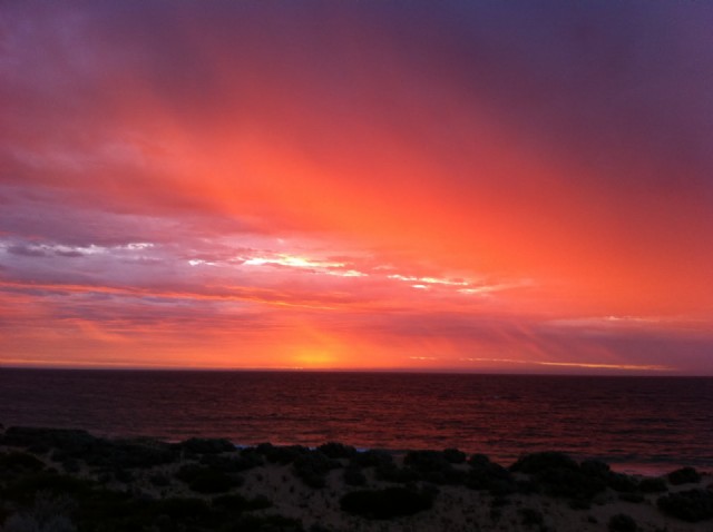 Tomorrow You Shall Fly