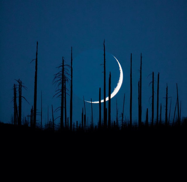 Новолунье / Luna Plina