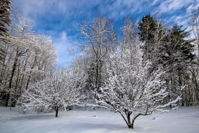 Square Poems 40: I Thought Winter Was Over