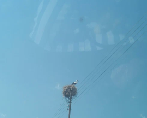 {τόπος Αιτίας Άρνησης}