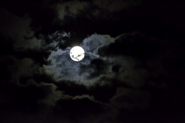 Luna