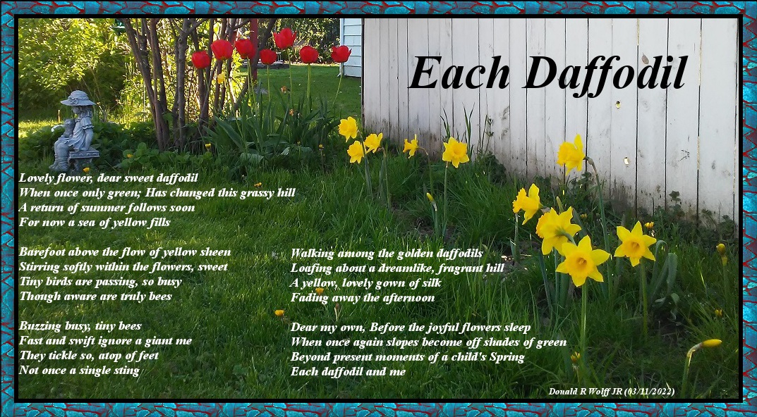 Each Daffodil