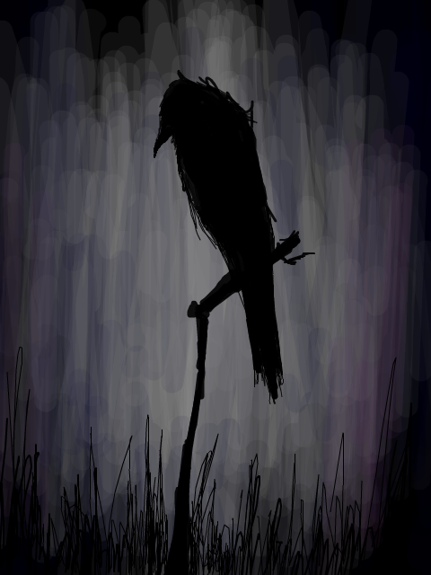Lonely Black Crow