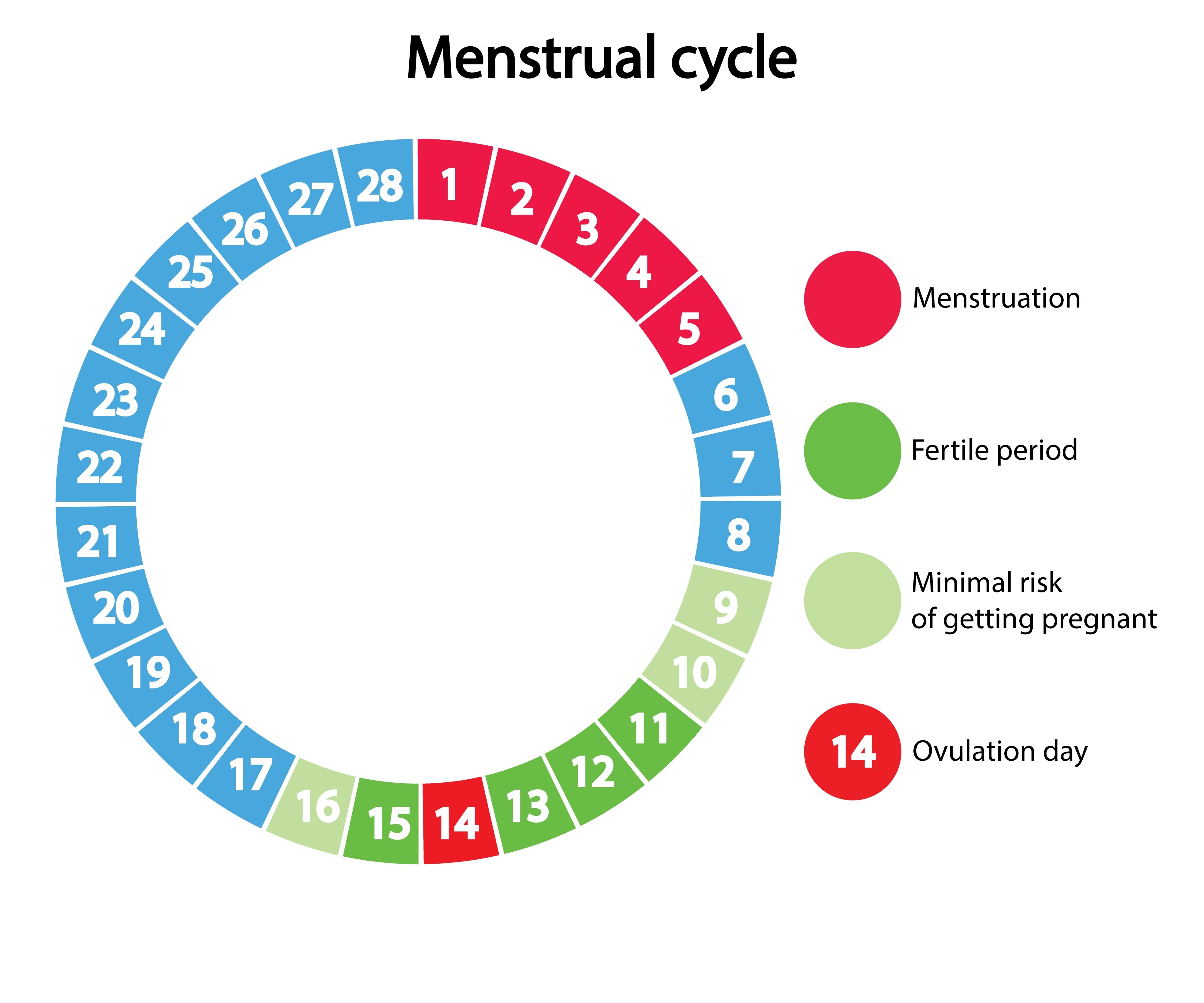 The Rhythm Of The Clay