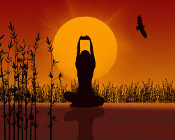 Yoga Of Bliss: โยคะพละสุข