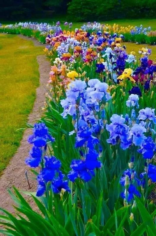 Many Live Far, Far Away From Nature!