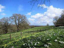 Quatrain For Spring