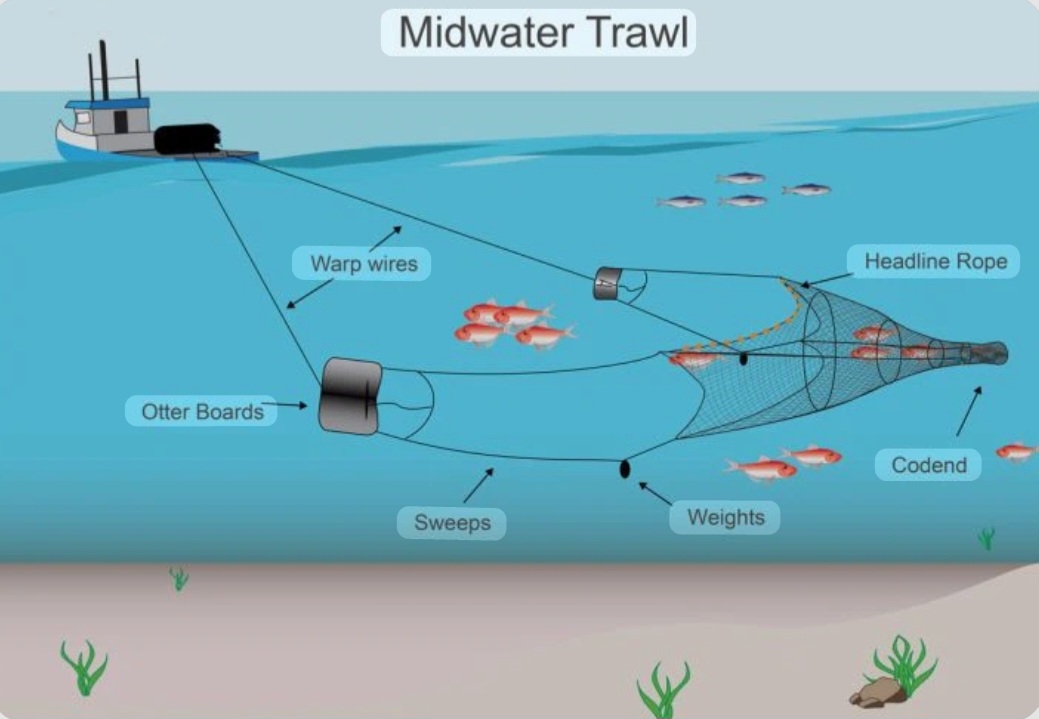 Capitalism's Trawling Bag.