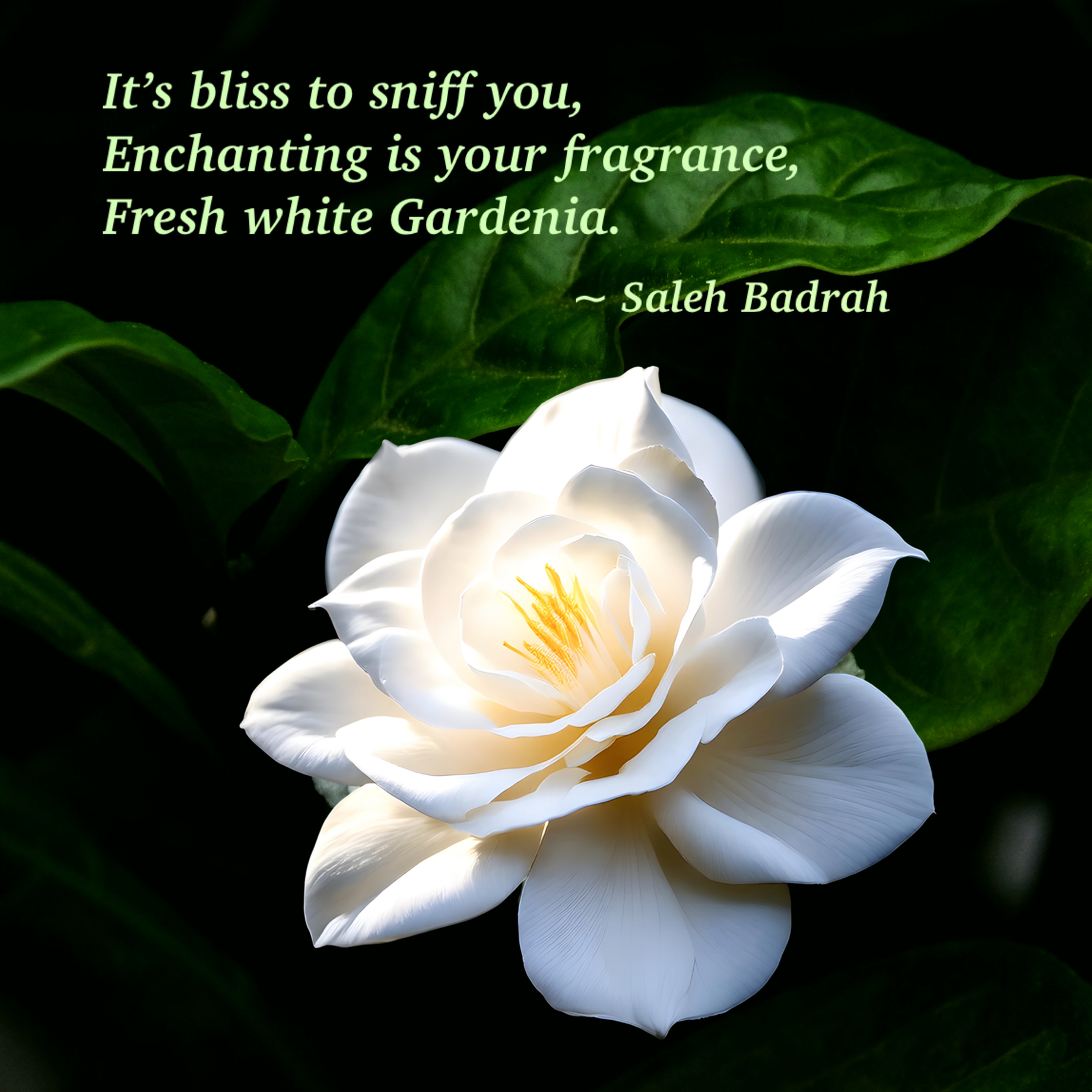 It's Bliss To Sniff You