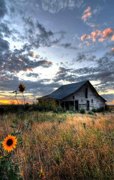 Beneath Its Tattered Roof