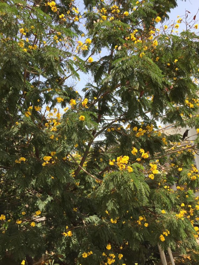 A Sense Of Relief From Nature!