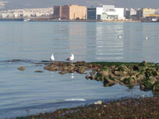 Τα Νέα Σου;