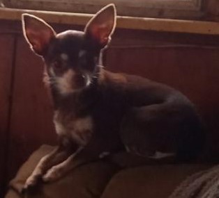 Rest In Peace, Hazel - Part 2