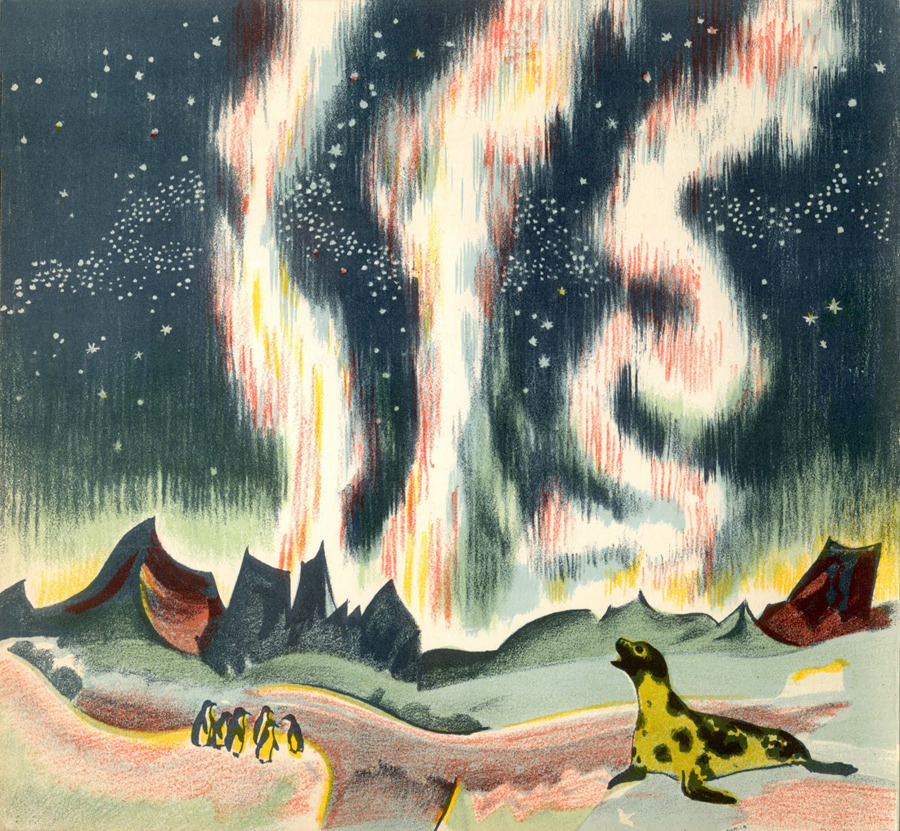 Curious Seal Under Bright Stars